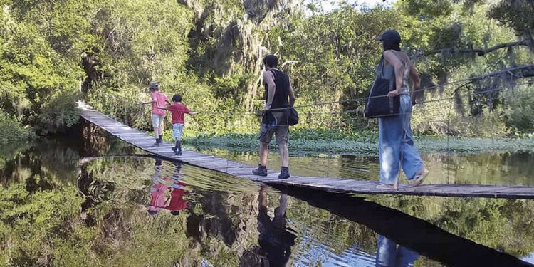 Un recorrido por los mejores destinos uruguayos para conectar con la naturaleza