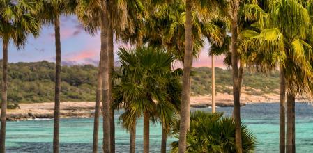 Playa de Sa Coma, Mallorca