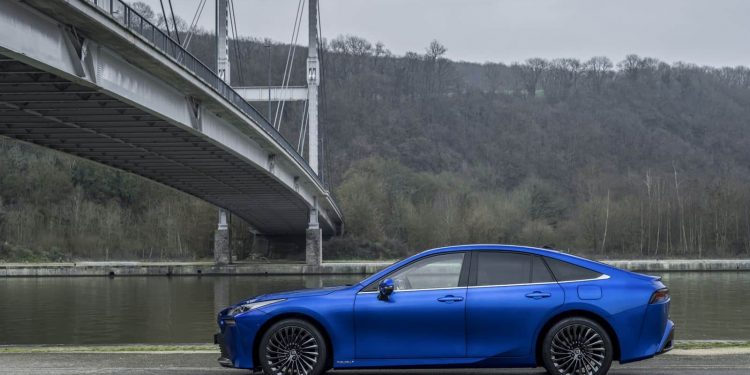 conoce todos sus detalles, incluidas sus entrañas