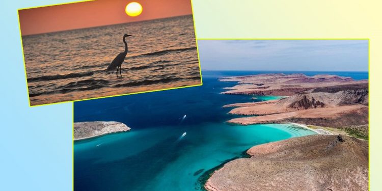 las playas mexicanas que debes incluir en tu lista