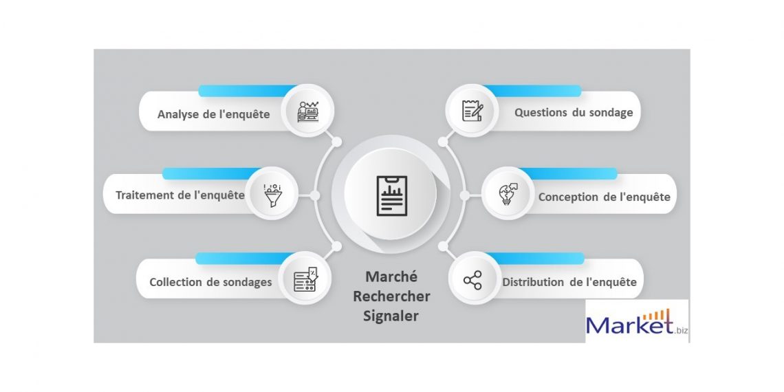 rapports sur les tendances