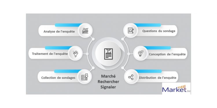 rapports sur les tendances