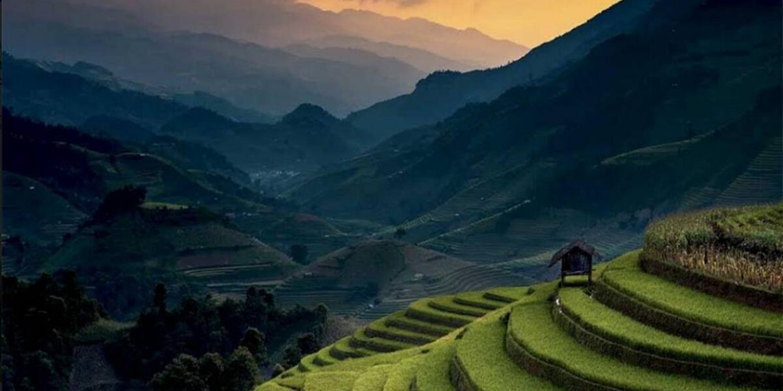 IndiaInMedan