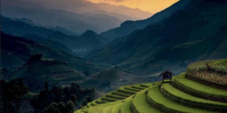 IndiaInMedan
