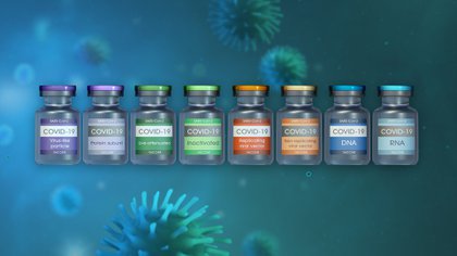 Ahora las epidemias no se podrán controlar solamente con vacunas 
 (Shutterstock.com)