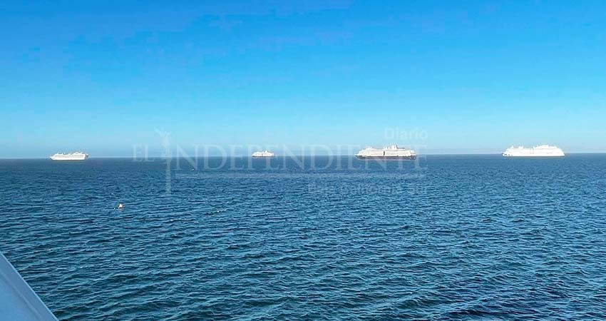 Cruceros de la bahía de La Paz, entre denuncias por contaminación y muertes por COVID Cruceros de la bahía de La Paz, entre denuncias por contaminación y muertes por COVID