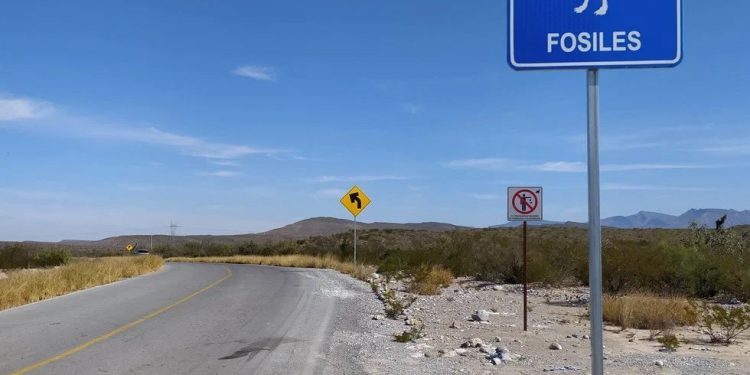 Aumenta 55% ventas de tour operadores