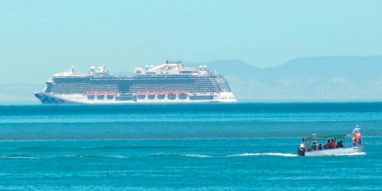 Cruceros ponen en riesgo refugio del tiburón ballena