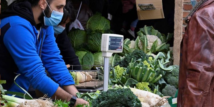 Foto: Mercado ecológico. EFE