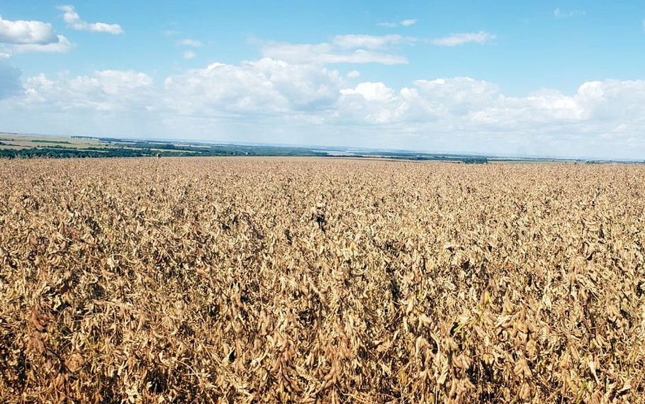 En el campo está nuestro sustento - Económico