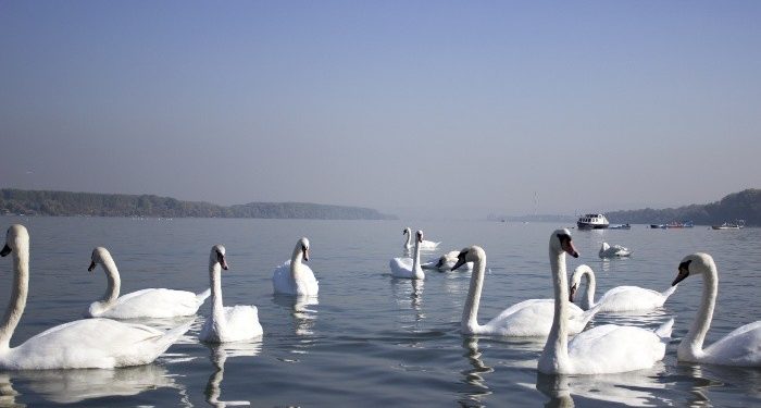 Espacios que se pintan de vida en primavera