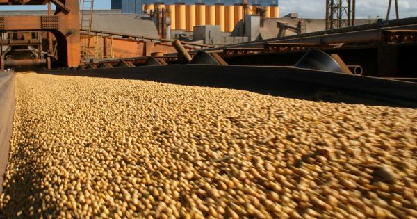 Estiman que las exportaciones sojeras alcanzaran este ao el rcord de US$ 20.400 millones