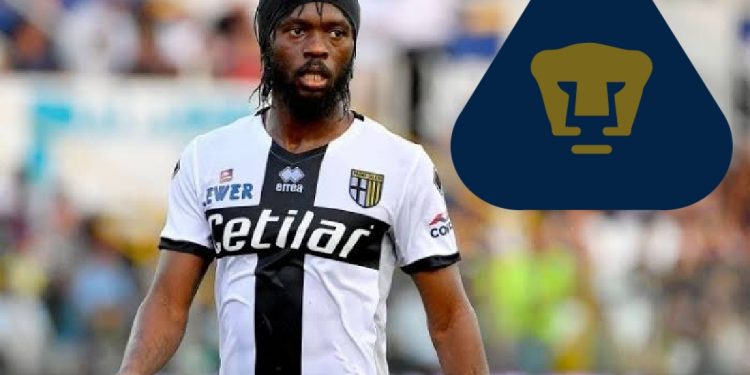 Gervinho, exfigura del Arsenal y la Roma, ofrecido a Pumas