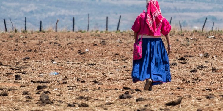 Grupos criminales asedian con retenes a comunidades Wixárikas