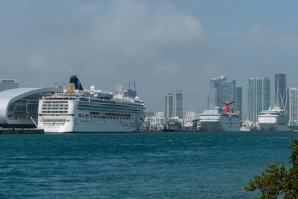 Vista de tres cruceros de diferentes compañías atracados en la Bahía de Miami, Florida. EFE/Giorgio Viera/Archivo
