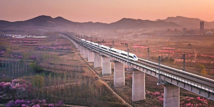 Un tren de alta velocidad pasa por campos de flores en una sección de la vía férrea Qingdao-Yancheng. [Lyv Hengwei / Para chinadaily.com.cn]