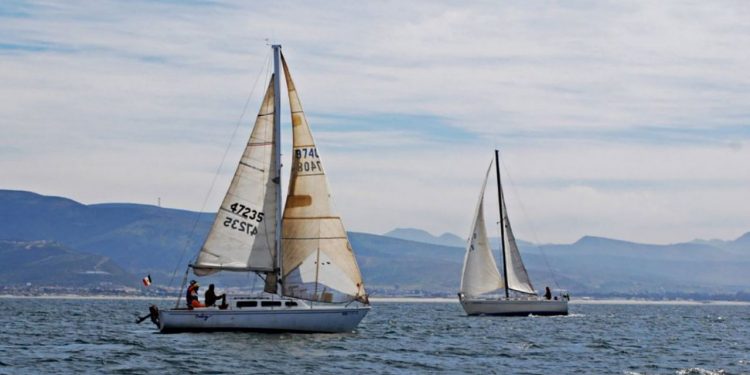 Reanudarn regata Newport-Ensenada - El Viga