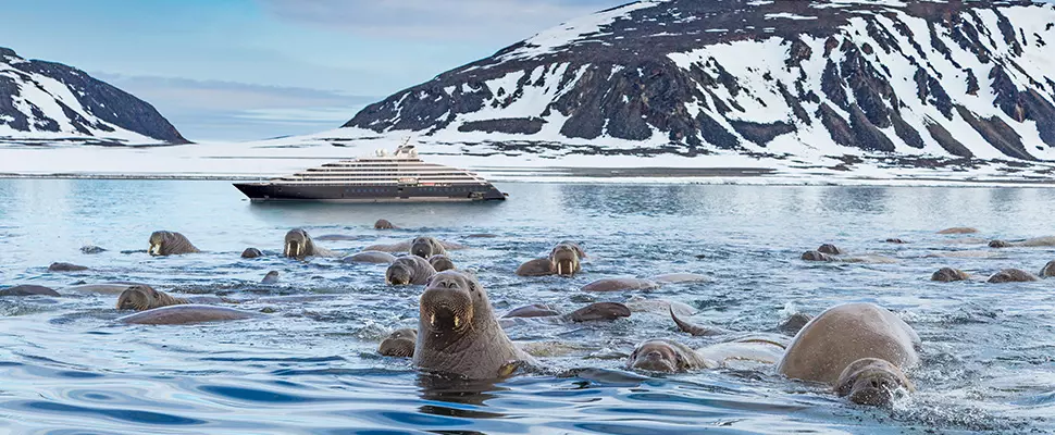Scenic Cruises presenta programa 2022-2023 por el Ártico a bordo del Scenic Eclipse
