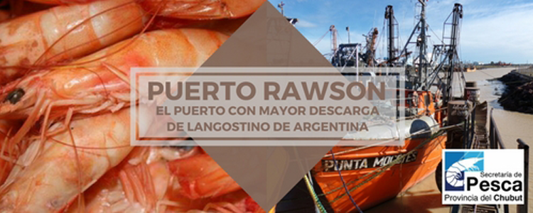 Se suspendió la campaña de calamar