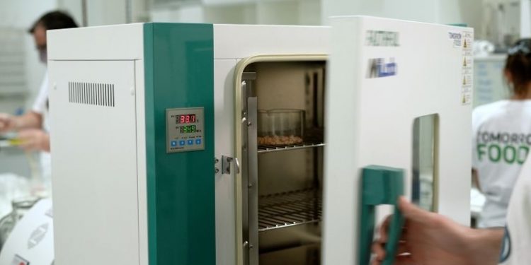 Tomorrow Foods hace punta en proteínas vegetales para la industria de alimentos y bebidas (comeremos cada vez más plantas)