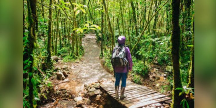 Viaje por el mundo intercambiando habilidades por alojamiento: así lo puede hacer