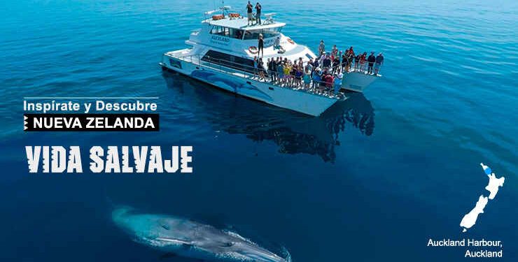Vida Salvaje en Nueva Zelanda