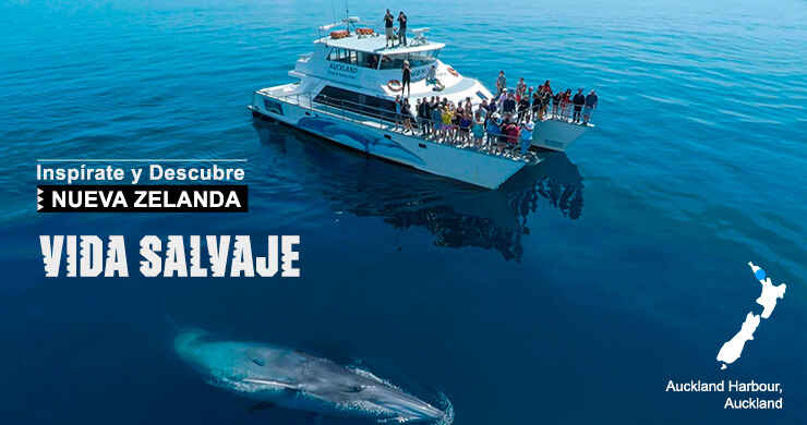Vida Salvaje en Nueva Zelanda