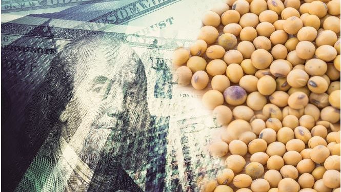 Las tasas más altas frenaron la suba de las materias primas