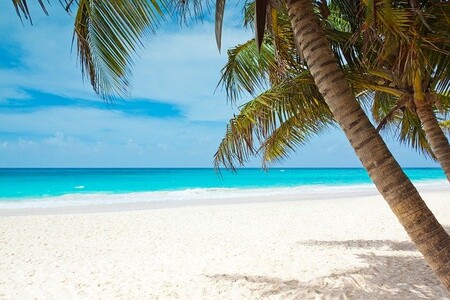 caribe