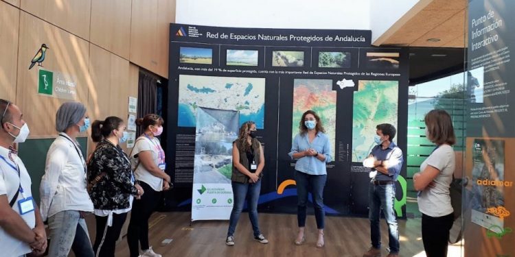 AionSur: Noticias de Sevilla, sus Comarcas y Andalucía