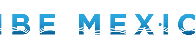 Participa CPTQ en evento “Recuperación del Turismo” de la OMT en Madrid.