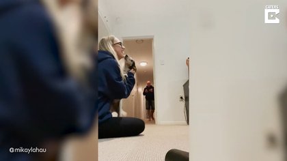 04/05/2021 Esta mujer se reencuentra con su perro tras 18 meses separados.

MADRID, 4 may. (EDIZIONES) Esta mujer compartió el momento en el que por fin pudo volver a ver a su perro después de estar separados durante un año y medio debido al coronavirus.

SOCIEDAD 
YOUTUBE - CATERS - @MIKAYLAHAU
