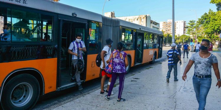 Disminuyen frecuencia de viajes en Ómnibus Urbanos (Video)
