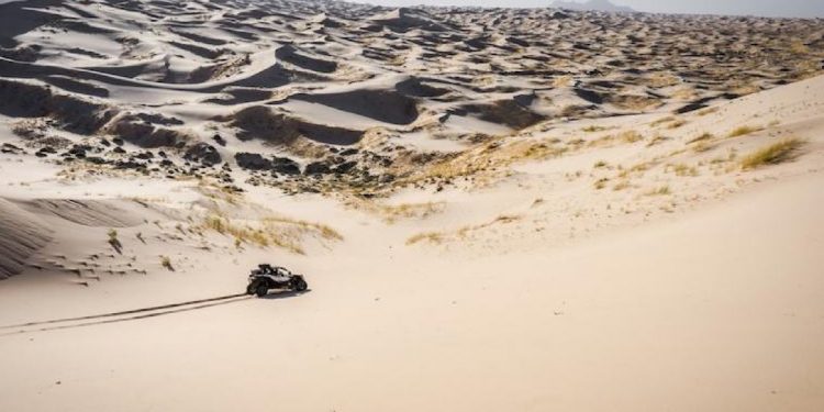 Dunas de Samalayuca en Chihuahua: el mejor destino turístico de 2021 en el mundo