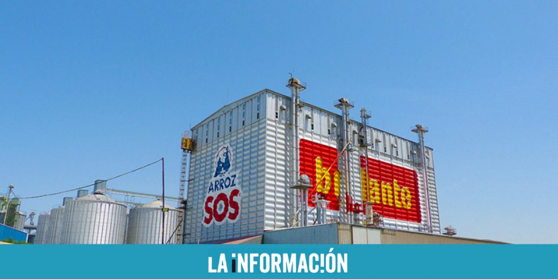 Ebro Foods propondrá en la junta repartir 87 millones en dividendos