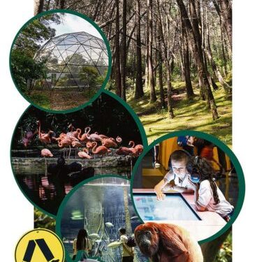 El turismo de la ciudad en una tarjeta:Medellín City Card