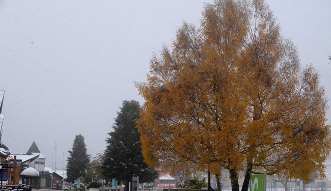 En busca del turismo pospandemia, Bariloche se muestra en la feria de Madrid