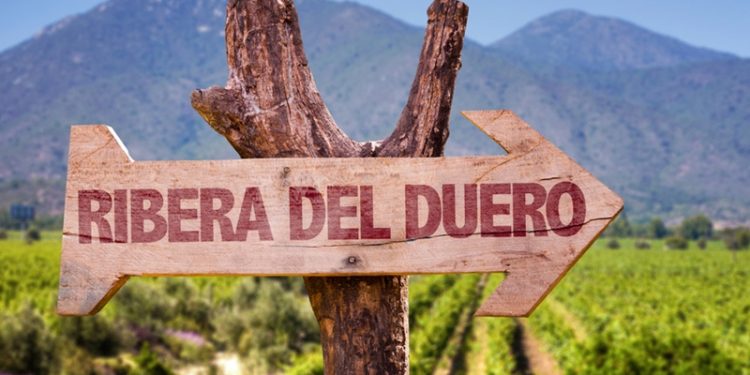La Asociación de Agencias de Viajes AAVVSpain visita la Ruta del Vino Ribera del Duero