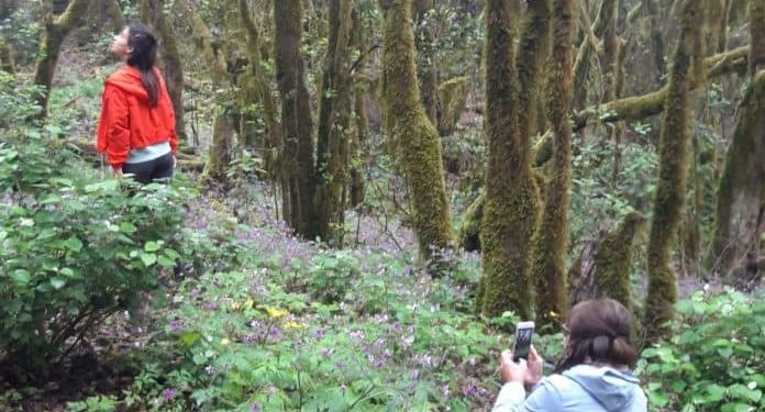 La prensa alemana elige La Gomera como destino turístico preferente