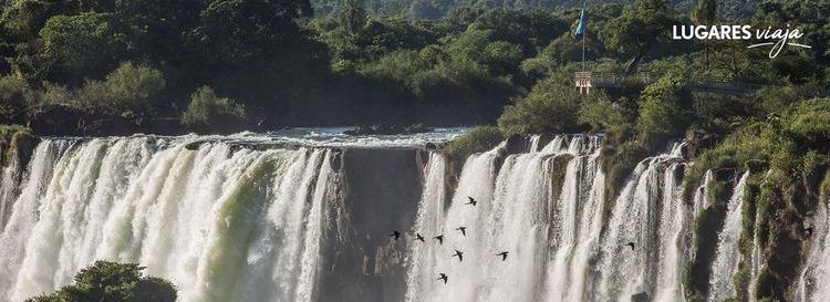 La ruta de la selva misionera: la naturaleza indómita