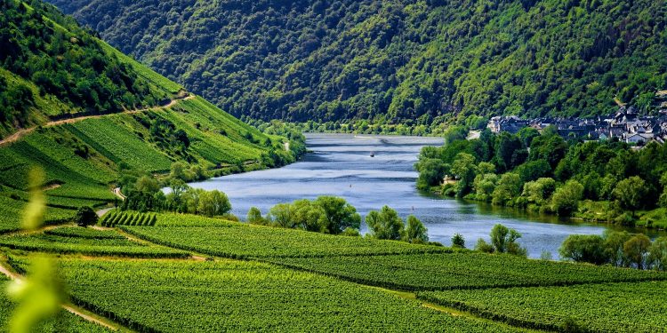 Más de 30 escapadas para disfrutar del vino