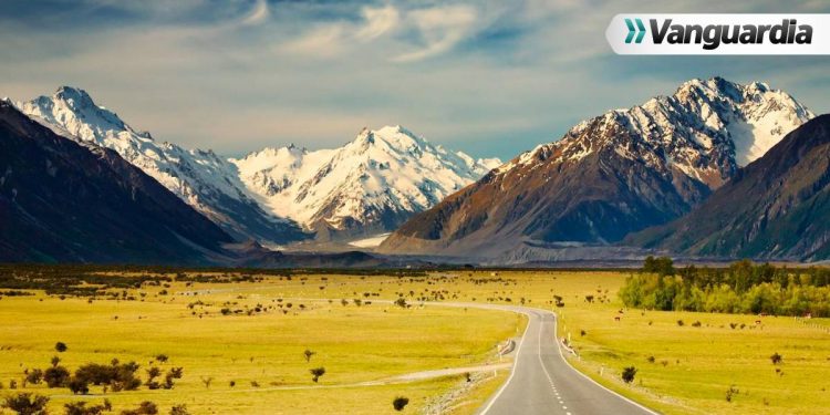 Nueva Zelanda: uno de los mejores destinos para estudiar y trabajar