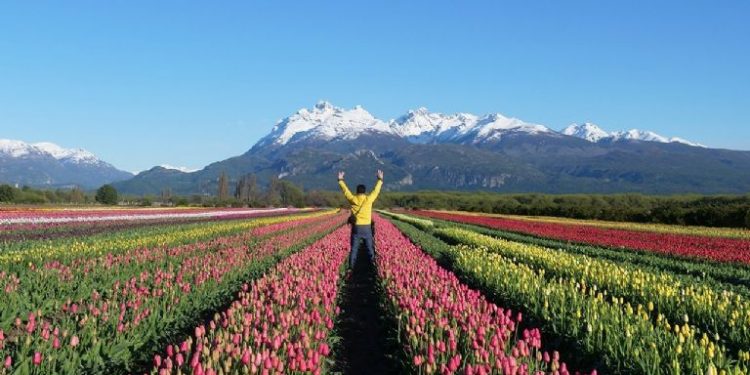 "Oscar del Turismo": vot ac por Argentina como mejor destino de Sudamrica