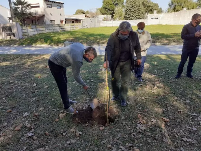 Plantaron árboles en la futura plazoleta Crucero General Belgrano