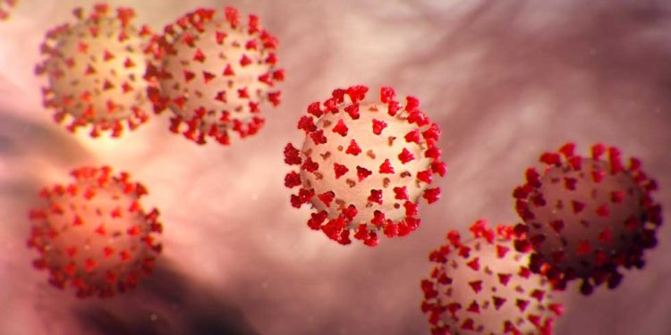 Publicará Biden resultados de la investigación sobre los orígenes del Covid