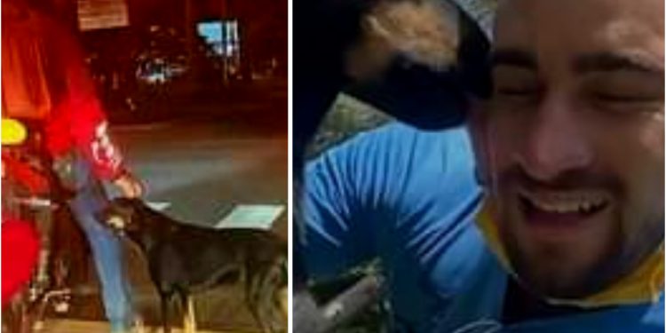 Repartidor adopta a perrito que conoció en un crucero | Municipios Puebla