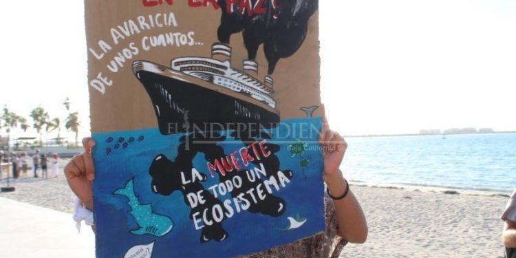 Reúnen firmas para sacar a los Cruceros de la Bahía de La Paz