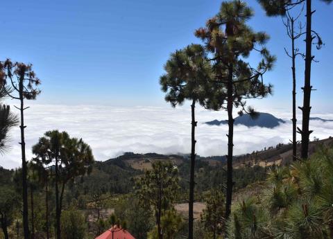 Tras encierro, repunta ecoturismo en Orizaba