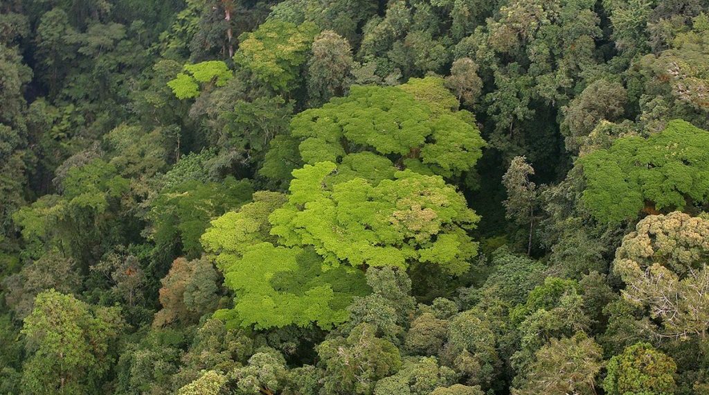 Viajes al fin del mundo: lugares para redescubrir la relación con la naturaleza