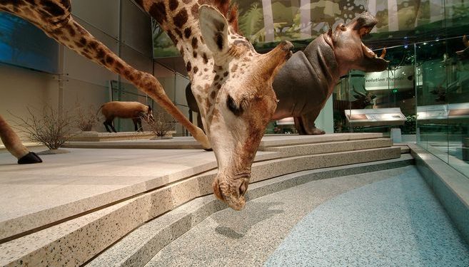 Viajes virtuales por algunos de los mejores museo del mundo